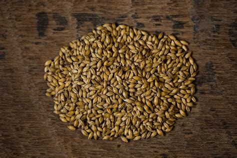 peated malt barley for sale.